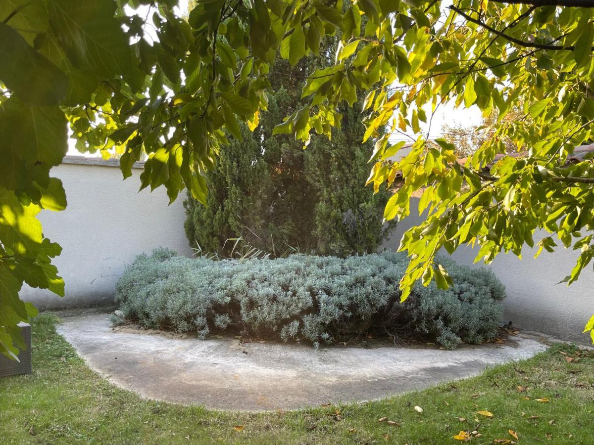 Studio Les Petits Lutins Entraigues-sur-la-Sorgue Exterior foto